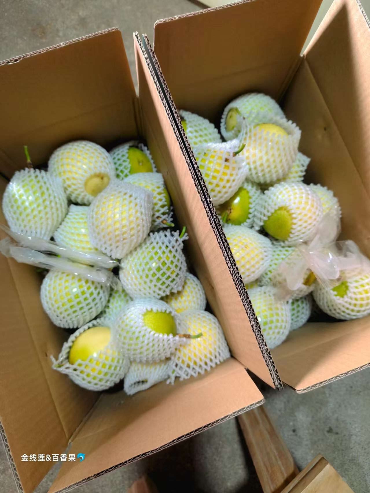 百香果